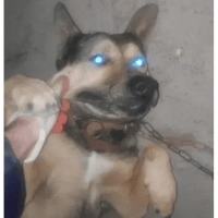 sticker image #29