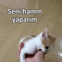 sticker image #30