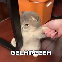 sticker image #1