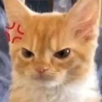 sticker image #10