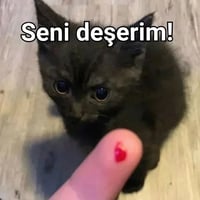 sticker image #6