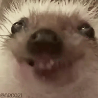 sticker image #21