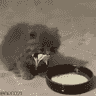tray_icon