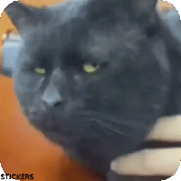 sticker image #25