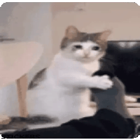 sticker image #26