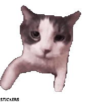 sticker image #17