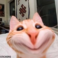 sticker image #28