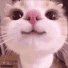 tray_icon