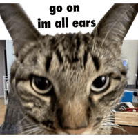 sticker image #10