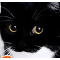 sticker image #16