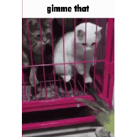 sticker image #21