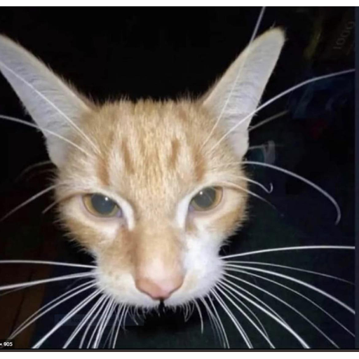 tray_icon #124690 sticker_pack