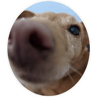 sticker image #1