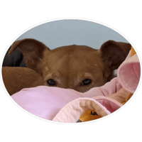 sticker image #10