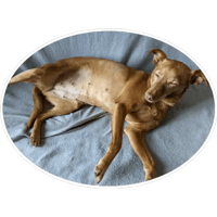 sticker image #11