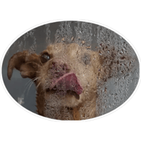 sticker image #4