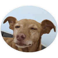 sticker image #6