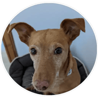 sticker image #8