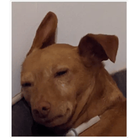 sticker image #9