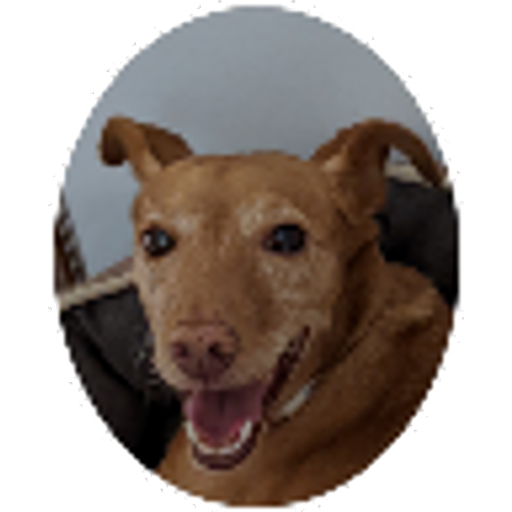 tray_icon #61185 sticker_pack
