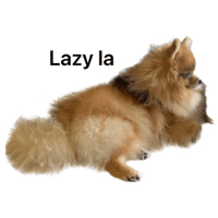 sticker image #1