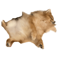 sticker image #10