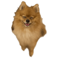 sticker image #11