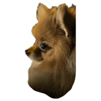 sticker image #12