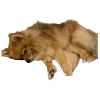 sticker image #13