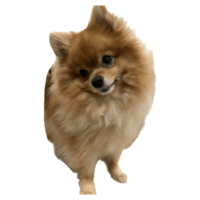 sticker image #14