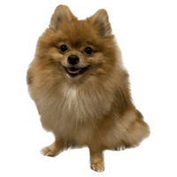 sticker image #15