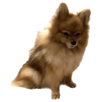 sticker image #16