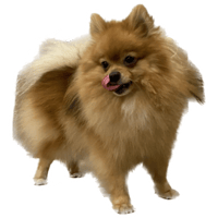 sticker image #17
