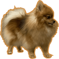 sticker image #18