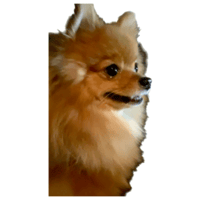 sticker image #19