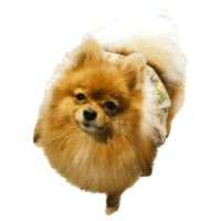sticker image #5