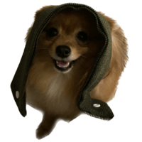 sticker image #8
