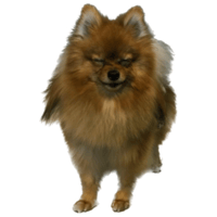 sticker image #9