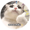 tray_icon #74433 sticker_pack