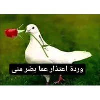 sticker image #15