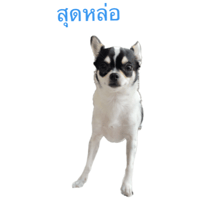 sticker image #24