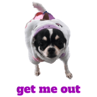 sticker image #30