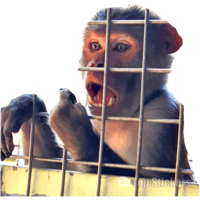 sticker image #26