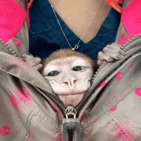 sticker image #23