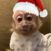 sticker image #10