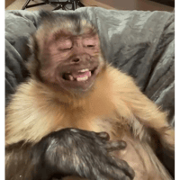 sticker image #12