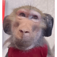 sticker image #16