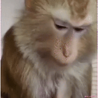sticker image #21