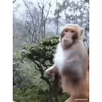 sticker image #23