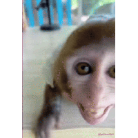 sticker image #24